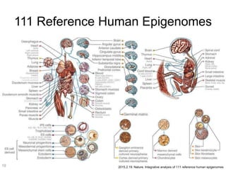 111 Reference Human Epigenomes
2015.2.19. Nature. Integrative analysis of 111 reference human epigenomes19
 