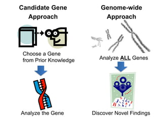 Candidate Gene
Approach
Genome-wide
Approach
Choose a Gene
from Prior Knowledge
Analyze the Gene
Analyze ALL Genes
Discover Novel Findings
 