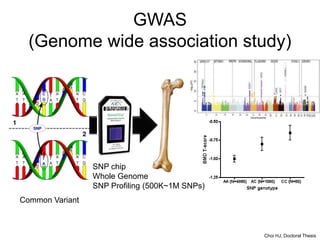 GWAS
(Genome wide association study)
SNP chip
Whole Genome
SNP Profiling (500K~1M SNPs)
Common Variant
Choi HJ, Doctoral Thesis
 