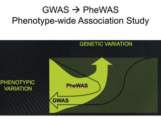 GWAS  PheWAS
Phenotype-wide Association Study
 