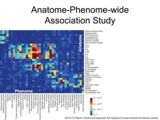 Anatome-Phenome-wide
Association Study
2015.2.19. Nature. Genetic and epigenetic fine mapping of causal autoimmune disease variants
Phenome
Anatome
 