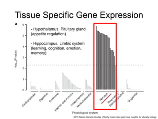 Tissue Specific Gene Expression
2015 Nature Genetic studies of body mass index yield new insights for obesity biology
- Hypothalamus, Pituitary gland
(appetite regulation)
- Hippocampus, Limbic system
(learning, cognition, emotion,
memory)
 