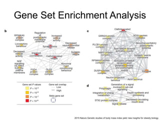 Gene Set Enrichment Analysis
2015 Nature Genetic studies of body mass index yield new insights for obesity biology
 