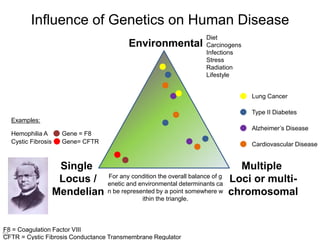 Influence of Genetics on Human Disease
For any condition the overall balance of g
enetic and environmental determinants ca
n be represented by a point somewhere w
ithin the triangle.
53
Single
Locus /
Mendelian
Multiple
Loci or multi-
chromosomal
Environmental
Cystic Fibrosis
Hemophilia A
Examples:
Alzheimer’s Disease
Type II Diabetes
Cardiovascular Disease
Diet
Carcinogens
Infections
Stress
Radiation
Lifestyle
Gene = F8
Gene= CFTR
F8 = Coagulation Factor VIII
CFTR = Cystic Fibrosis Conductance Transmembrane Regulator
Lung Cancer
 