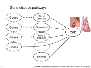 2008 HMG Genome-based prediction of common diseases- advances and prospects55
 