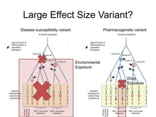 Large Effect Size Variant?
Disease susceptibility variant Pharmacogenetic variant
Environmental
Exposure
Drug
Exposure
 
