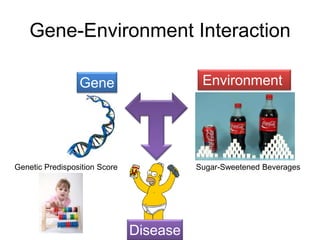 Gene-Environment Interaction
Gene Environment
Disease
Genetic Predisposition Score Sugar-Sweetened Beverages
 