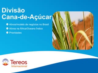Divisão
Cana-de-Açúcar
Ativos/modelo de negócios no Brasil
Ativos na África/Oceano Índico
Prioridades
 