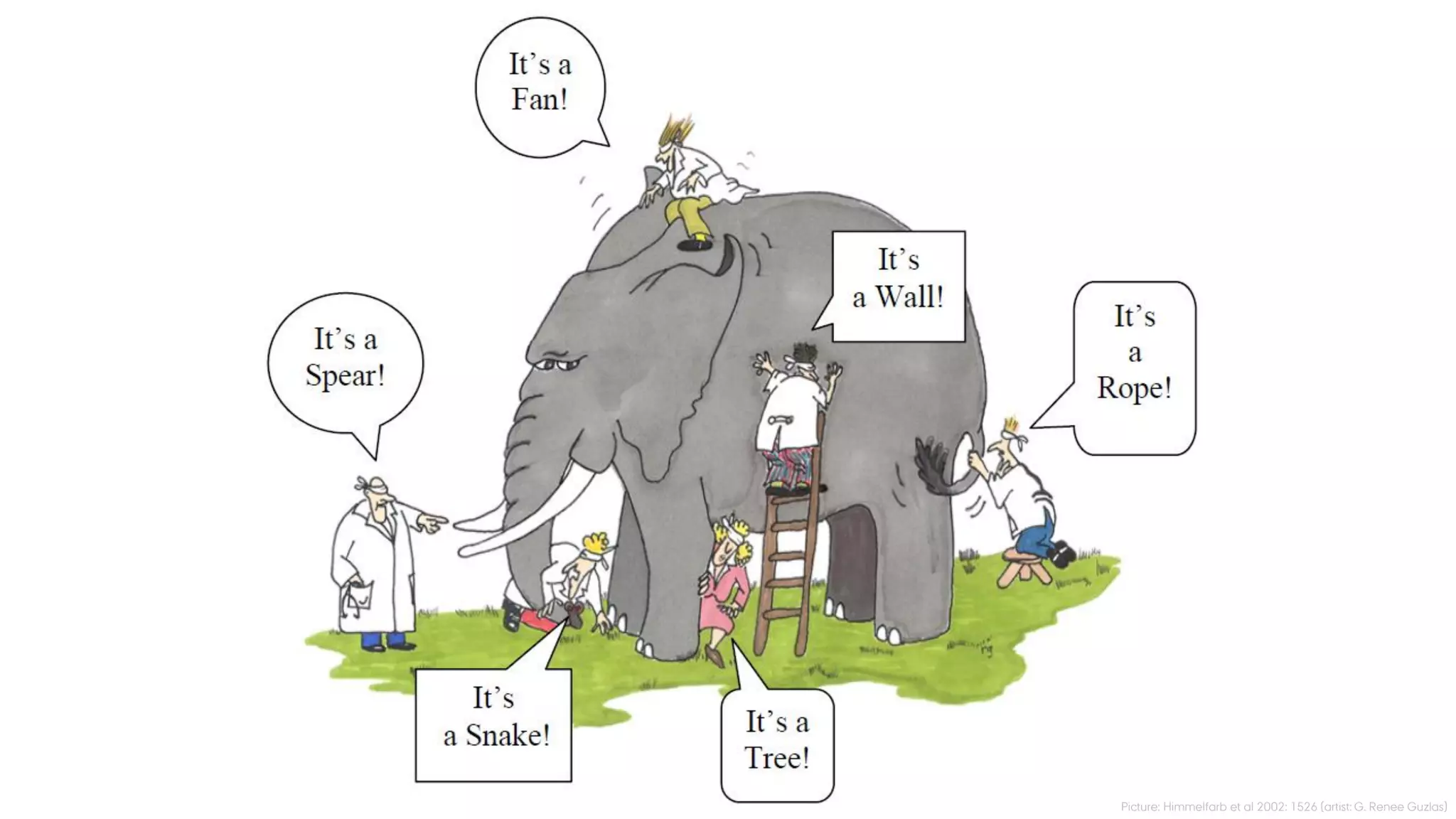 Picture: Himmelfarb et al 2002: 1526 (artist: G. Renee Guzlas)
 