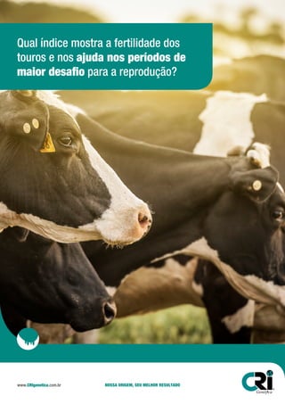 www.CRIgenetica.com.br NOSSA ORIGEM, SEU MELHOR RESULTADO
Qual índice mostra a fertilidade dos
touros e nos ajuda nos períodos de
maior desafio para a reprodução?
 