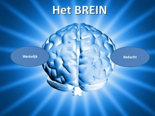 Het	BREIN
BedachtWerkelijk
 