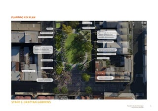 64Prepared for the City of Stonnington
by rushwright associates
PLANTING KEY PLAN
STAGE 1: GRATTAN GARDENS
Understory:
Agave americana, Aloe arborescens,
A. barberae, A. plicatilis, Dion
spinulosum, Yucca filamentosa or
Y. recurvifolia, Zamia furfuracea
Understory:
Agave americana, Aloe arborescens,
A. barberae, A. plicatilis, Dion
spinulosum, Yucca filamentosa or
Y. recurvifolia, Zamia furfuracea
Ficus platypoda
Existing Schinus molle var. areira
with new understorey planting
Transplanted Phoenix canariensis
Existing Phoenix canariensis
Chamaerops humilis
Cussonia spicata
Washingtonia robusta
Existing Melia azedarach
Ceiba sp.
Chamaerops humilis
Erythrina crista-galli
Jacaranda mimosifolia
Brachychiton populneus x
acerifolius ‘Jerilderie Red’
Brachychiton populneus x
acerifolius ‘Jerilderie Red’
 