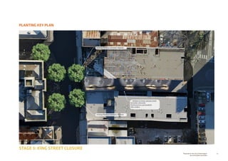 67Prepared for the City of Stonnington
by rushwright associates
PLANTING KEY PLAN
STAGE 3: KING STREET CLOSURE
Existing Platanus orientalis ‘Digitata’
Existing Platanus orientalis ‘Digitata’
climbers to linear catenary mesh
Kennedia rubicunda
Parthenocissus quinquefolia
Vitis vinifera
 