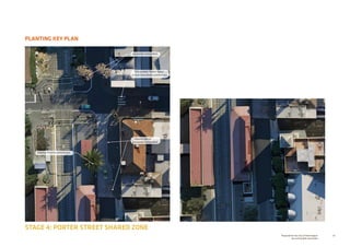 68Prepared for the City of Stonnington
by rushwright associates
PLANTING KEY PLAN
STAGE 4: PORTER STREET SHARED ZONE
Existing Phoenix canariensis
Tilia cordata ‘Green Spire’
or Acer truncatum x platanoides
Tipuana tipu or
Jacaranda mimosifolia
Jacaranda mimosifolia
 