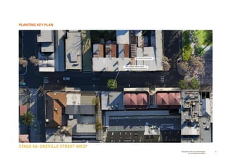 69Prepared for the City of Stonnington
by rushwright associates
PLANTING KEY PLAN
STAGE 5A: GREVILLE STREET WEST
Tilia cordata ‘Green Spire’
or Acer truncatum x platanoides
Jacaranda mimosifolia
 
