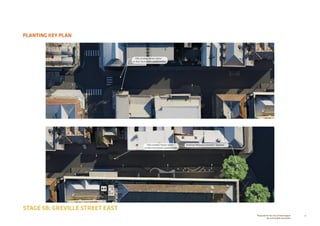70Prepared for the City of Stonnington
by rushwright associates
PLANTING KEY PLAN
STAGE 5B: GREVILLE STREET EAST
Tilia cordata ‘Green Spire’
or Acer truncatum x platanoides
Tilia cordata ‘Green Spire’
or Acer truncatum x platanoides
Existing Platanus orientalis ‘Digitata’
 
