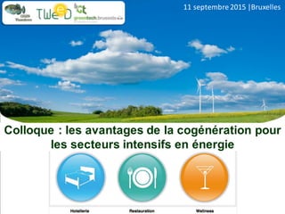 Cluster Technology	of	
Wallonia	Energy,	Environment	
and	sustainable	Development
Colloque : les avantages de la cogénération pour
les secteurs intensifs en énergie
11	septembre	2015	|Bruxelles
 