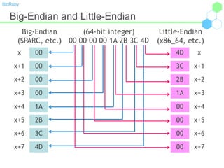 BioRuby
Big-Endian and Little-Endian
00
00
00
00
1A
2B
3C
4D
4D
3C
2B
1A
00
00
00
00
Big-Endian
(SPARC, etc.)
Little-Endian
(x86_64, etc.)
x
x+1
x+2
x+3
x+4
x+5
x+6
x+7
(64-bit integer)
00 00 00 00 1A 2B 3C 4D
x
x+1
x+2
x+3
x+4
x+5
x+6
x+7
 