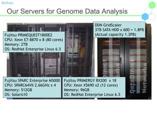 BioRuby
Our Servers for Genome Data Analysis
Fujitsu PRIMEQUEST1800E2
CPU: Xeon E7-8870 x 8 (80 cores)
Memory: 2TB
OS: RedHat Enterprise Linux 6.5
Fujitsu SPARC Enterprise M5000
CPU: SPARC64VII 2.66GHz x 4
Memory: 512GB
OS: Solaris10
Fujitsu PRIMERGY RX200 x 18
CPU: Xeon X5690 x2 (12 cores)
Memory: 96GB
OS: RedHat Enterprise Linux 6.5
DDN GridScaler
3TB SATA HDD x 600 = 1.8PB
(Actual capacity 1.2PB)
 