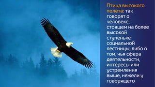 Птица высокого
полета: так
говорят о
человеке,
стоящем на более
высокой
ступеньке
социальной
лестницы, либо о
том, чья сфера
деятельности,
интересы или
устремления
выше, нежели у
говорящего
 