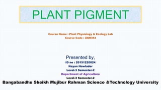 PLANT PIGMENT
Course Name : Plant Physiology & Ecology Lab
Course Code : AGR354
Presented by,
ID no : 20151220024
Nayan Howlader
Level-3 Semester-2
Department of Agriculture
Level-3 Semester-2
Bangabandhu Sheikh Mujibur Rahman Science &Technology University
 