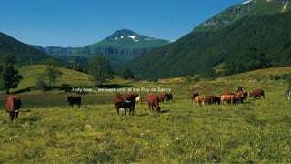 • Photo puy de sancy
,Holy cow… we were only at the Puy de Sancy
 