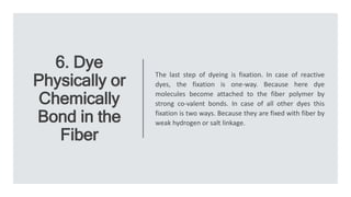 6. Dye
Physically or
Chemically
Bond in the
Fiber
The last step of dyeing is fixation. In case of reactive
dyes, the fixation is one-way. Because here dye
molecules become attached to the fiber polymer by
strong co-valent bonds. In case of all other dyes this
fixation is two ways. Because they are fixed with fiber by
weak hydrogen or salt linkage.
 
