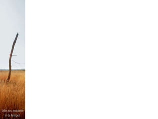 150210 Stilteplatform Oud-Turnhout