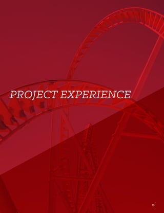 PROJECT EXPERIENCE
13
 