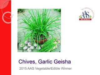 Chives, Garlic Geisha
2015 AAS Vegetable/Edible Winner
 