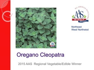 Oregano Cleopatra
2015 AAS Regional Vegetable/Edible Winner
Northeast
West/ Northwest
 