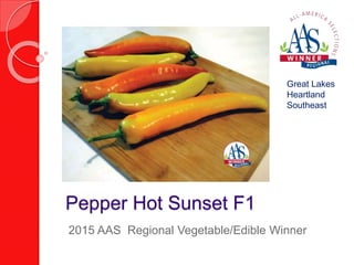 Pepper Hot Sunset F1
Great Lakes
Heartland
Southeast
2015 AAS Regional Vegetable/Edible Winner
 
