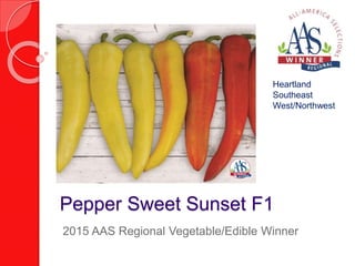 Pepper Sweet Sunset F1
Heartland
Southeast
West/Northwest
2015 AAS Regional Vegetable/Edible Winner
 
