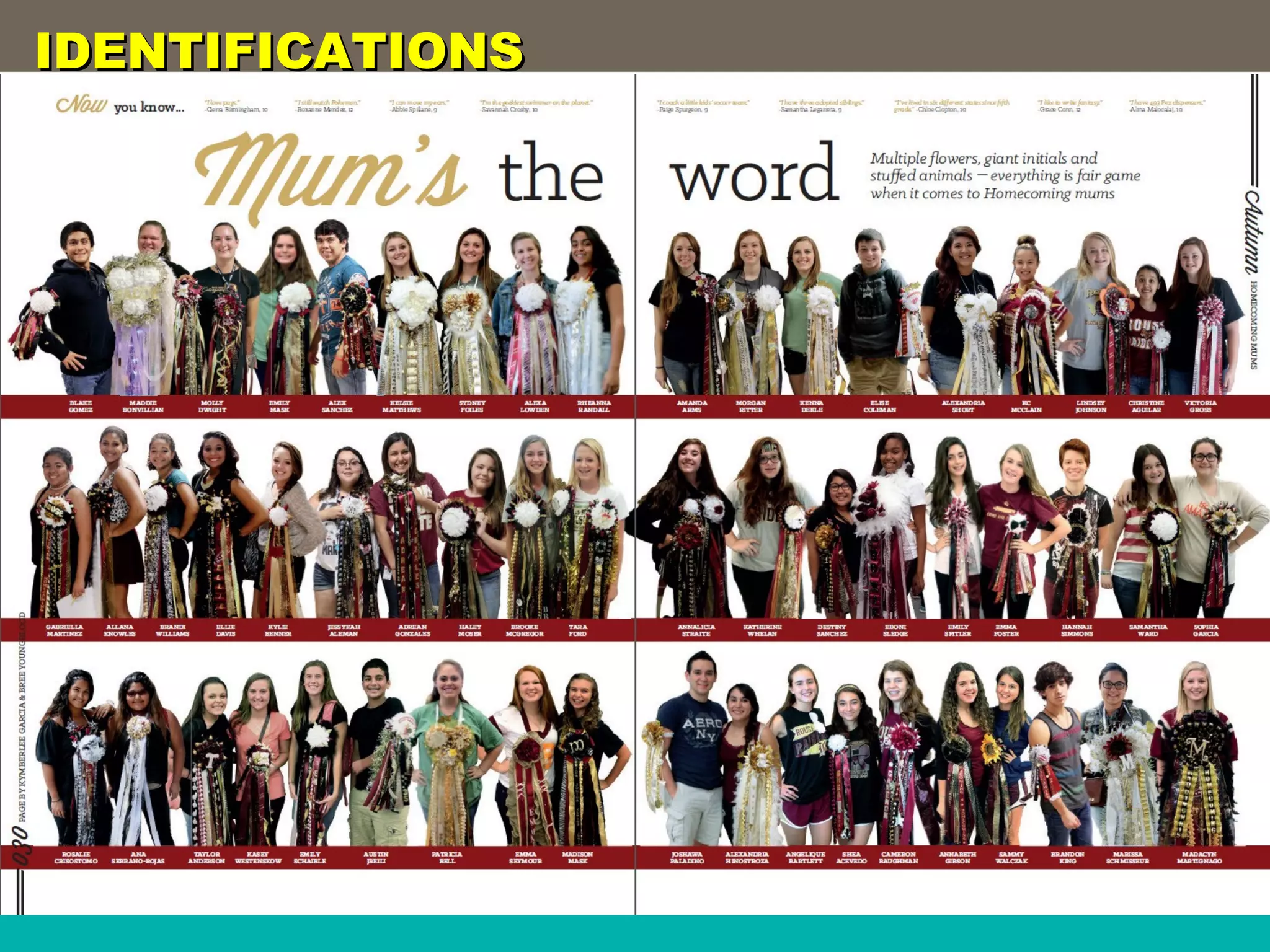 IDENTIFICATIONSIDENTIFICATIONS
 