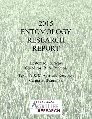 2015
ENTOMOLOGY
RESEARCH
REPORT
Editor: M. O. Way
Co-editor: R. A. Pearson
Texas A & M AgriLife Research
Center at Beaumont
 