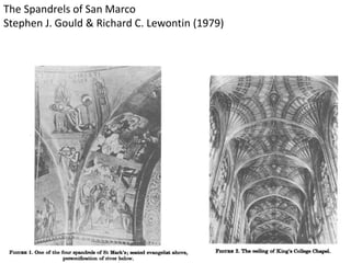 The Spandrels of San Marco
Stephen J. Gould & Richard C. Lewontin (1979)
 