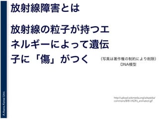 A.Asano,KansaiUniv.
http://upload.wikimedia.org/wikipedia/
commons/8/81/ADN_animation.gif
放射線障害とは
放射線の粒子が持つエ
ネルギーによって遺伝
子に「傷」がつく （写真は著作権の制約により削除）
DNA模型
 