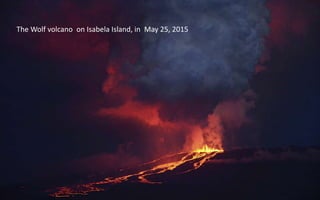 The Wolf volcano on Isabela Island, in May 25, 2015
 