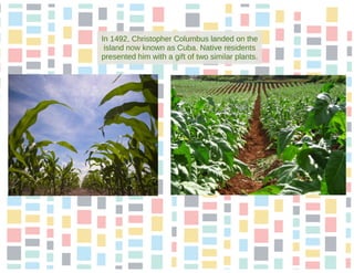 2015 and Beyond: The Disappearance of Digital