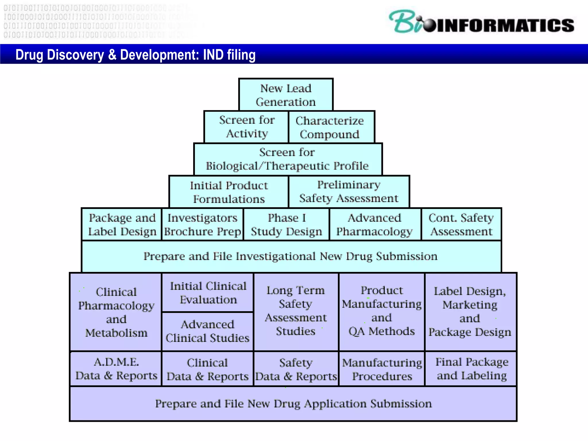 Drug Discovery & Development: IND filing
 