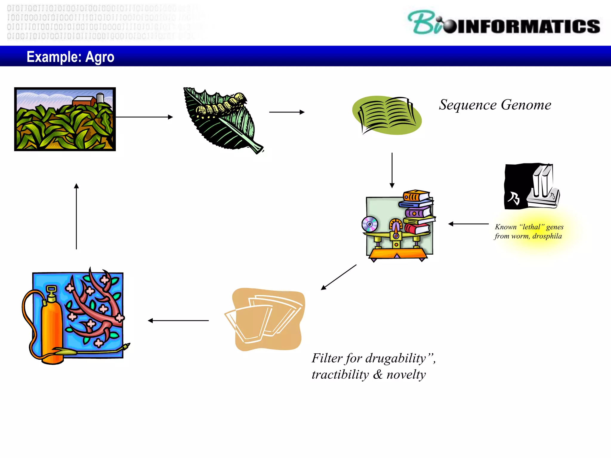 Example: Agro
Known “lethal” genes
from worm, drosphila
Sequence Genome
Filter for drugability”,
tractibility & novelty
 