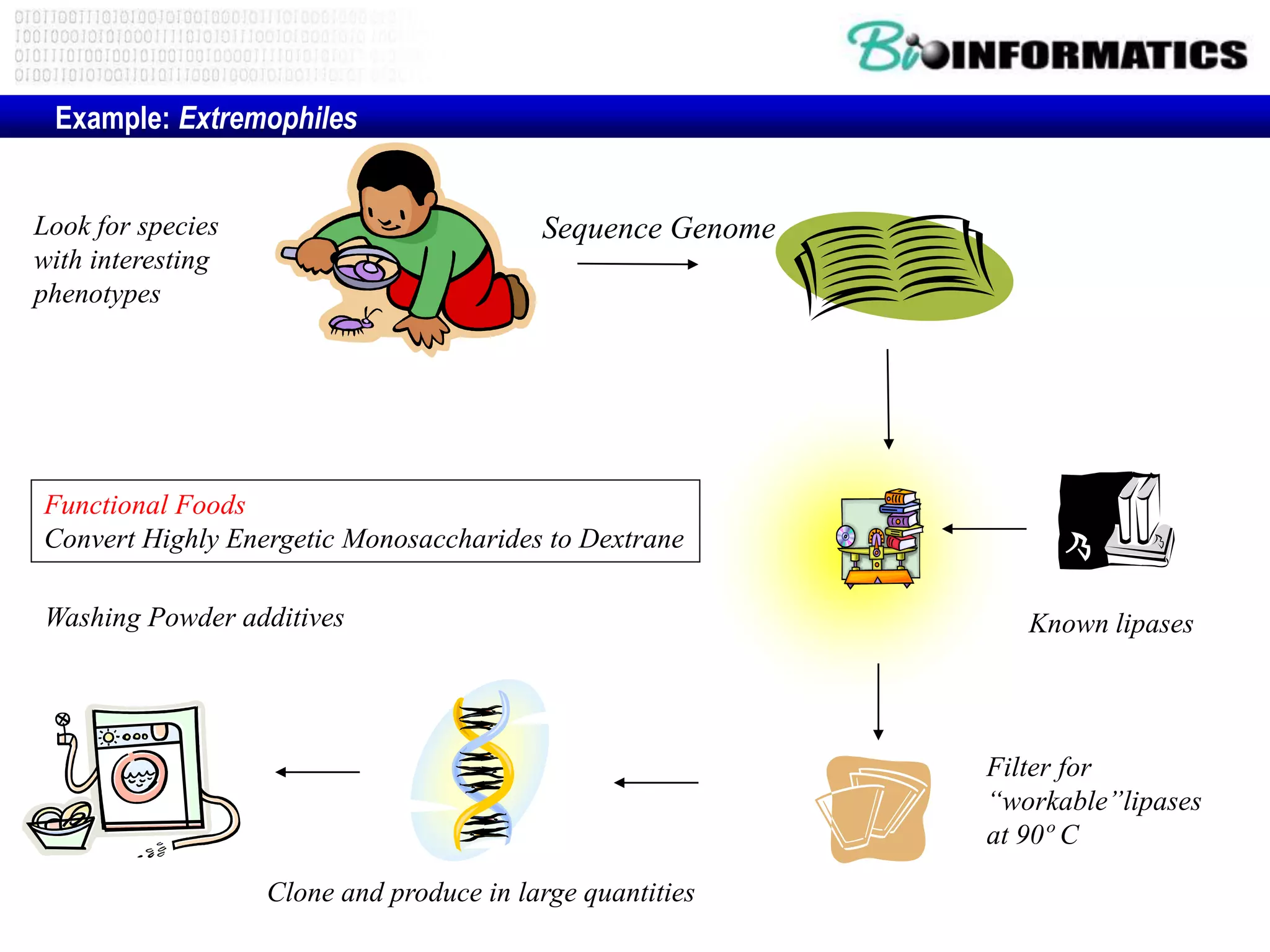 Example: Extremophiles
Known lipases
Filter for
“workable”lipases
at 90º C
Look for species
with interesting
phenotypes
Clone and produce in large quantities
Washing Powder additives
Sequence Genome
Functional Foods
Convert Highly Energetic Monosaccharides to Dextrane
 