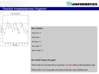 Possible transmembrane fragment
 