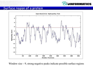 Window size – 9, strong negative peaks indicate possible surface regions
Surface region of a protein
 