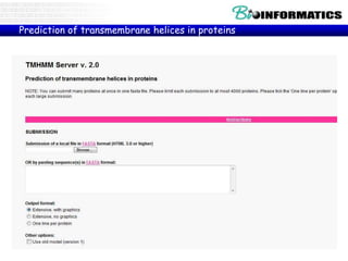 Prediction of transmembrane helices in proteins
(TMHMM)
 