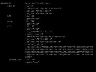 FEATURES Location/Qualifiers
source 1..756
/organism="Listeria ivanovii"
/strain="ATCC 19119"
/db_xref="taxon:1638"
RBS 95..100
/gene="sod"
gene 95..746
/gene="sod"
CDS 109..717
/gene="sod"
/EC_number="1.15.1.1"
/codon_start=1
/product="superoxide dismutase"
/db_xref="PID:g44011"
/db_xref="SWISS-PROT:P28763"
/transl_table=11
/translation="MTYELPKLPYTYDALEPNFDKETMEIHYTKHHNIYVTKL
NEAVSGHAELASKPGEELVANLDSVPEEIRGAVRNHGGGHANHTLFWSSLSPN
GGGAPTGNLKAAIESEFGTFDEFKEKFNAAAAARFGSGWAWLVVNNGKLEIVS
TANQDSPLSEGKTPVLGLDVWEHAYYLKFQNRRPEYIDTFWNVINWDERNKRF
DAAK"
terminator 723..746
/gene="sod"
 