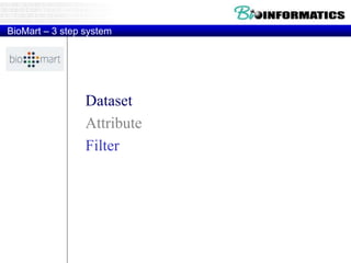 BioMart – 3 step system
Dataset
Attribute
Filter
 