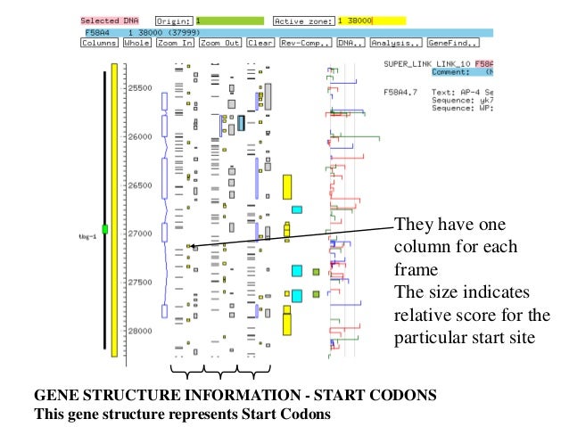 dna seq analysis