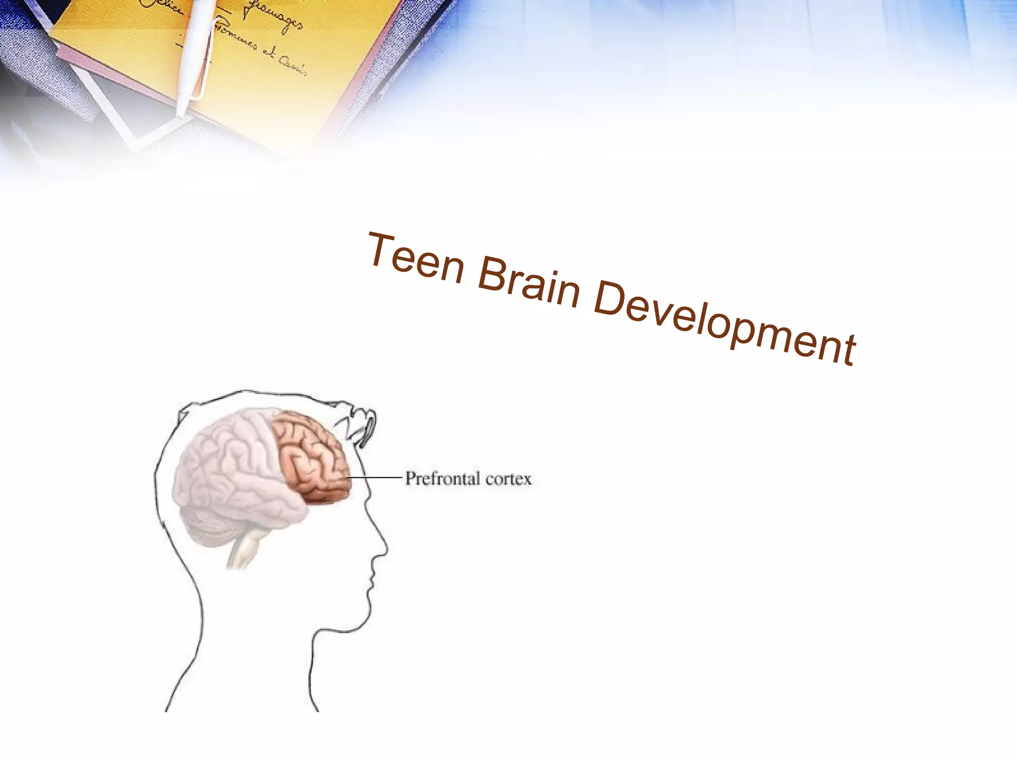 Teen Brain Development
 