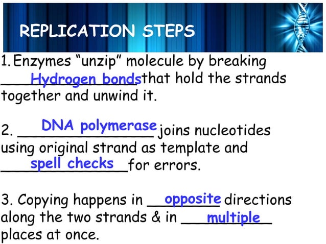 DNA replication of eukaryotes and prokaryotes | PPT